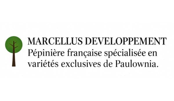 Marcellus Développement